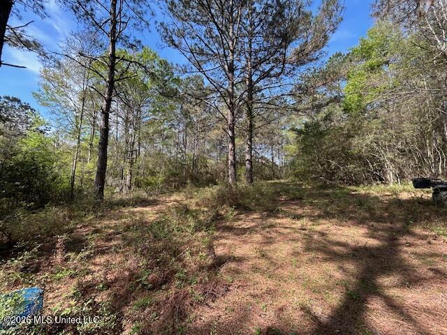 115 Ryans Road Tylertown, MS 39667 - Photo 32 of 65 IMG_3629 (1)