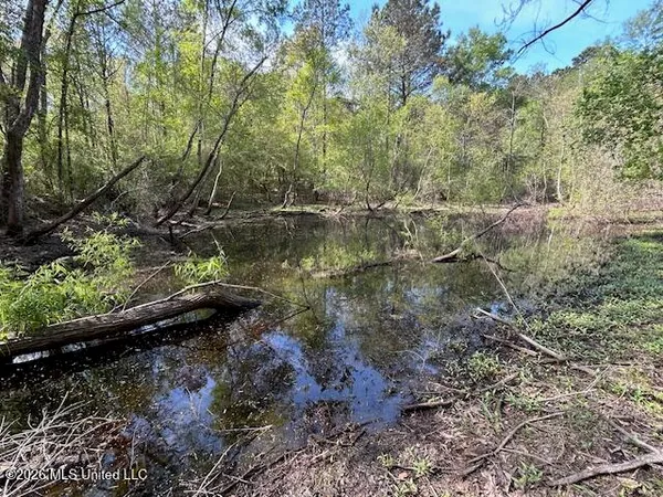 $149,500 | 115 Ryans Road, Tylertown, MS 39667