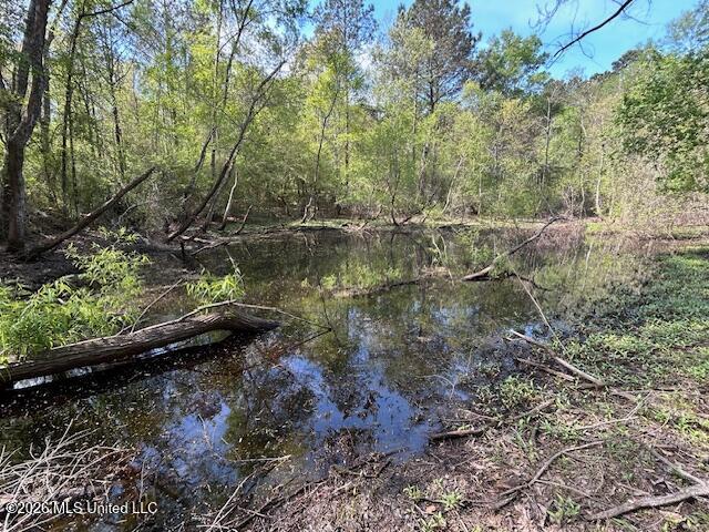 115 Ryans Road Tylertown, MS 39667 - Photo 33 of 65 IMG_3631