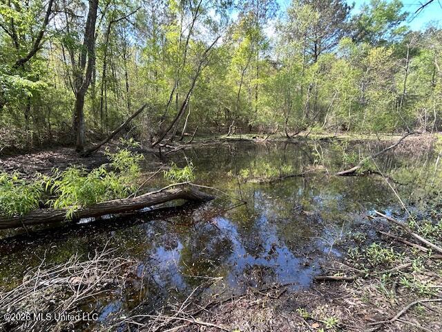 115 Ryans Road Tylertown, MS 39667 - Photo 34 of 65 IMG_3632 (1)