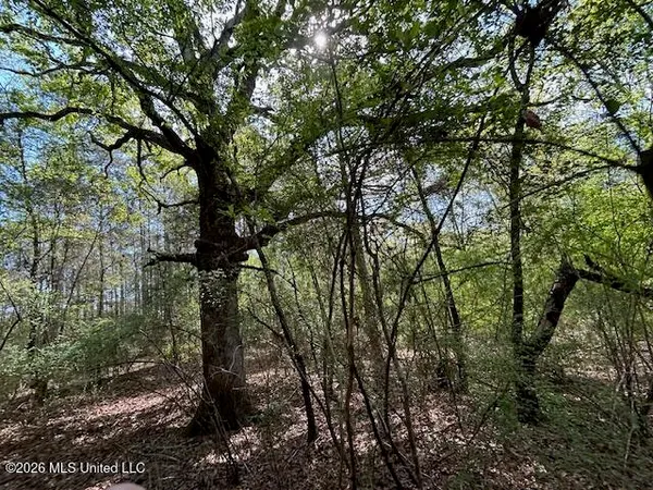 $149,500 | 115 Ryans Road, Tylertown, MS 39667