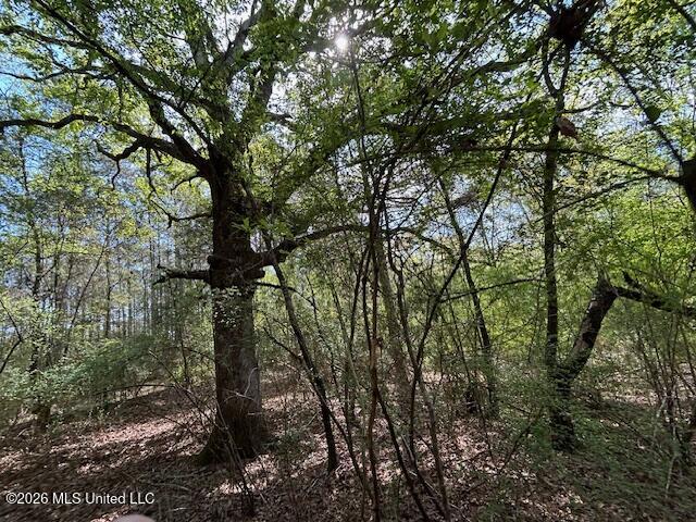 115 Ryans Road Tylertown, MS 39667 - Photo 35 of 65 IMG_3634 (1)