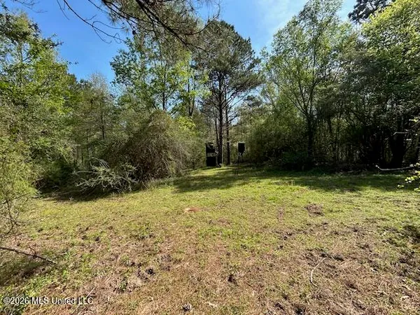 $149,500 | 115 Ryans Road, Tylertown, MS 39667