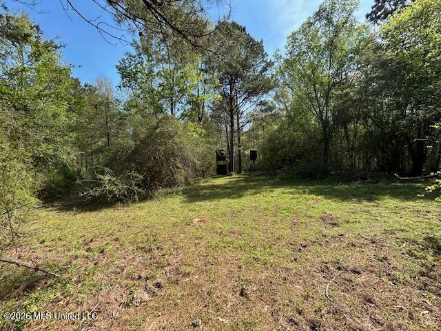 115 Ryans Road Tylertown, MS 39667 - Photo 36 of 65 IMG_3635