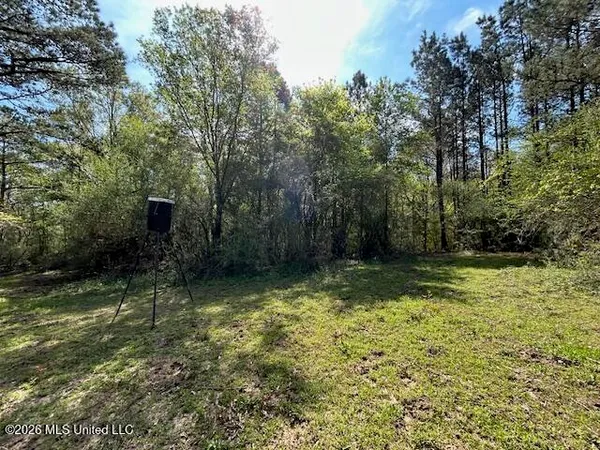 $149,500 | 115 Ryans Road, Tylertown, MS 39667