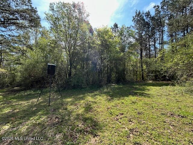 115 Ryans Road Tylertown, MS 39667 - Photo 37 of 65 IMG_3636