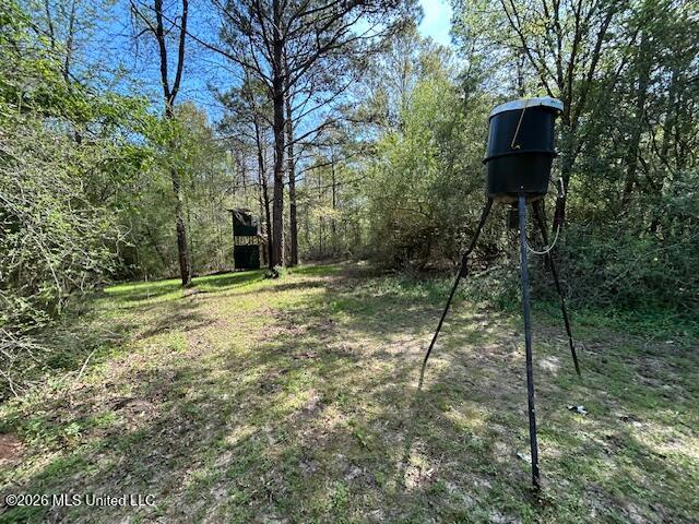 115 Ryans Road Tylertown, MS 39667 - Photo 38 of 65 IMG_3637 (1)