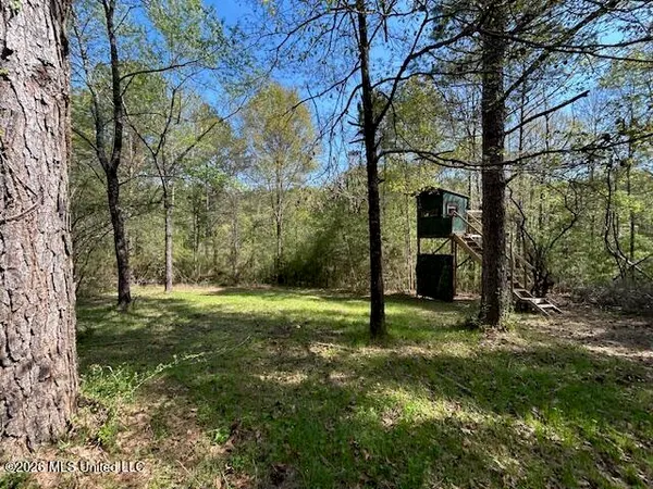 $149,500 | 115 Ryans Road, Tylertown, MS 39667