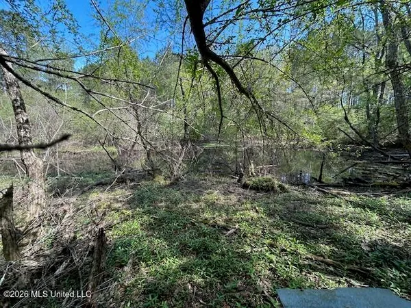 $149,500 | 115 Ryans Road, Tylertown, MS 39667