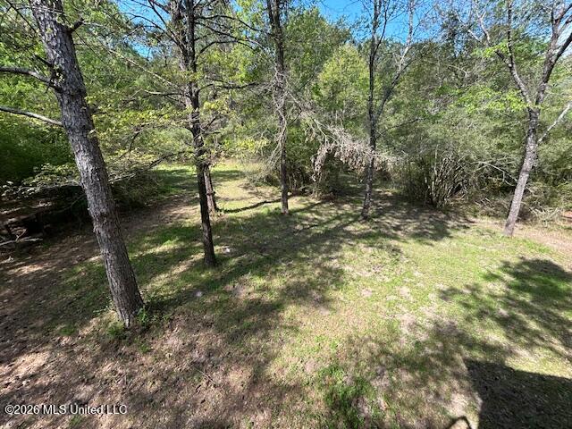 115 Ryans Road Tylertown, MS 39667 - Photo 42 of 65 IMG_3642