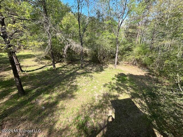 115 Ryans Road Tylertown, MS 39667 - Photo 43 of 65 IMG_3643