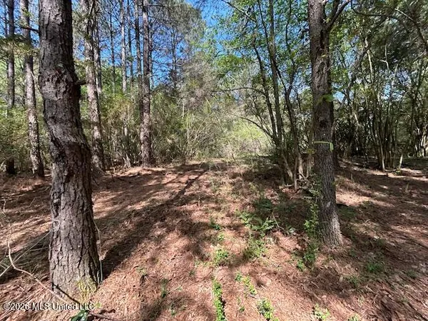 $149,500 | 115 Ryans Road, Tylertown, MS 39667