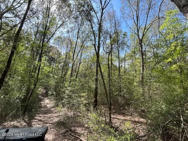 $149,500 | 115 Ryans Road, Tylertown, MS 39667