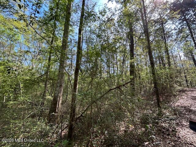 115 Ryans Road Tylertown, MS 39667 - Photo 47 of 65 IMG_3650