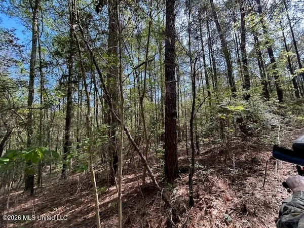 $149,500 | 115 Ryans Road, Tylertown, MS 39667