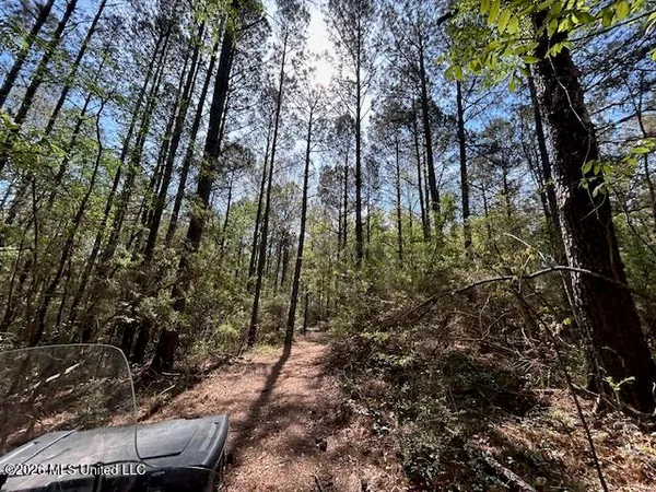 $149,500 | 115 Ryans Road, Tylertown, MS 39667