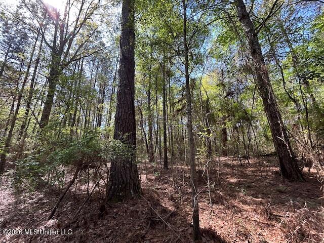 115 Ryans Road Tylertown, MS 39667 - Photo 50 of 65 IMG_3654