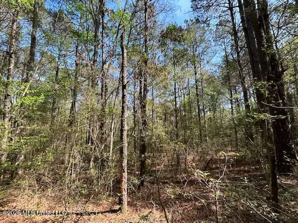 $149,500 | 115 Ryans Road, Tylertown, MS 39667