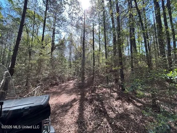 $149,500 | 115 Ryans Road, Tylertown, MS 39667