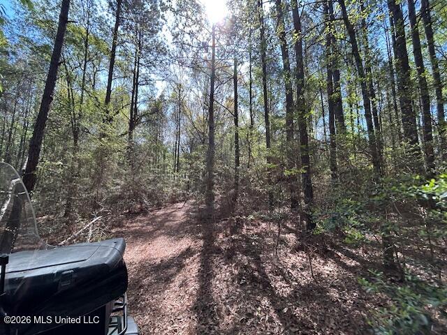 115 Ryans Road Tylertown, MS 39667 - Photo 52 of 65 IMG_3656