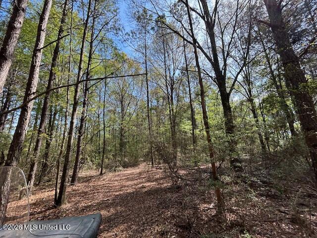 115 Ryans Road Tylertown, MS 39667 - Photo 53 of 65 IMG_3657