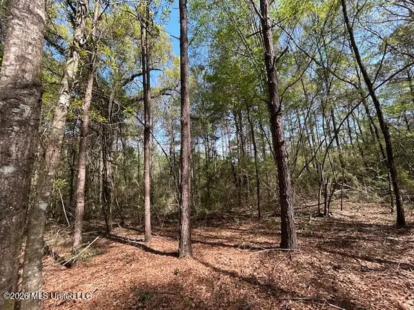 $149,500 | 115 Ryans Road, Tylertown, MS 39667