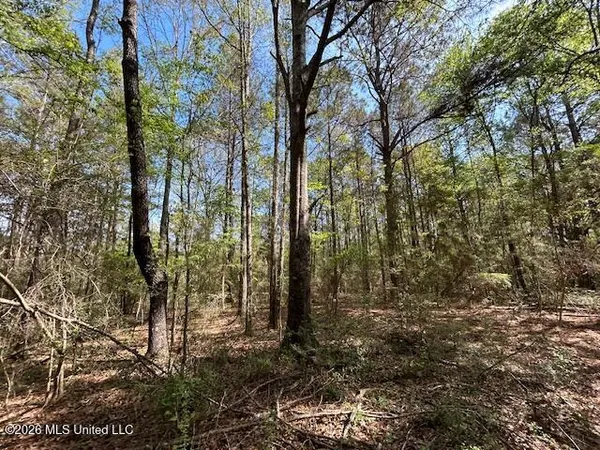 $149,500 | 115 Ryans Road, Tylertown, MS 39667