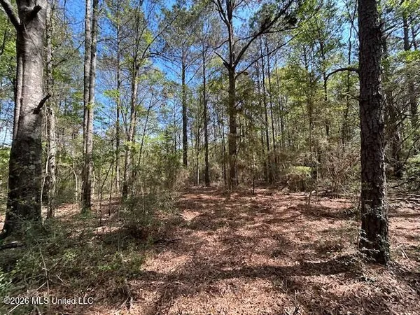 $149,500 | 115 Ryans Road, Tylertown, MS 39667