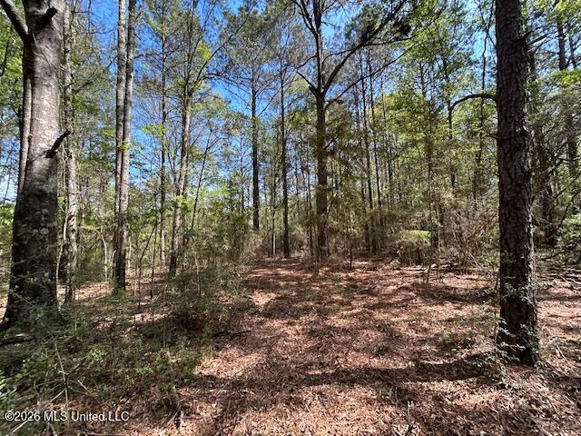 115 Ryans Road Tylertown, MS 39667 - Photo 56 of 65 IMG_3660