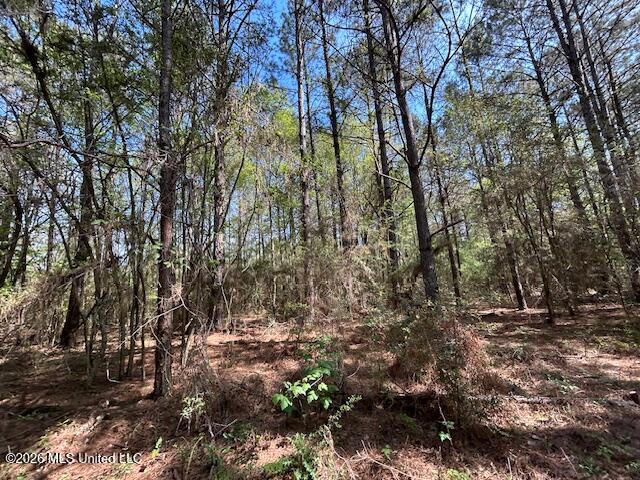 115 Ryans Road Tylertown, MS 39667 - Photo 57 of 65 IMG_3661