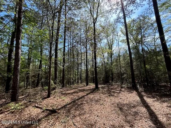 $149,500 | 115 Ryans Road, Tylertown, MS 39667