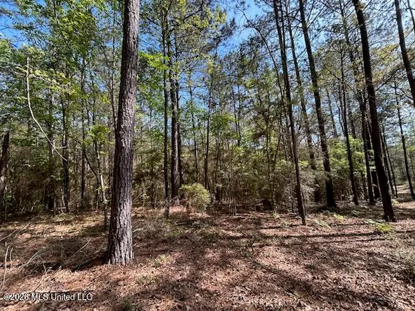 $149,500 | 115 Ryans Road, Tylertown, MS 39667