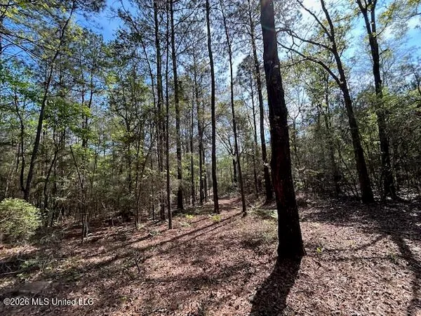 $149,500 | 115 Ryans Road, Tylertown, MS 39667