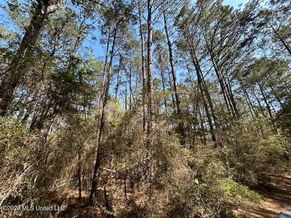 $149,500 | 115 Ryans Road, Tylertown, MS 39667