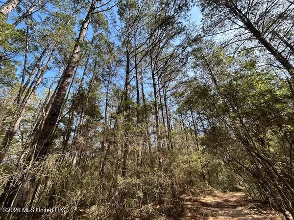 $149,500 | 115 Ryans Road, Tylertown, MS 39667