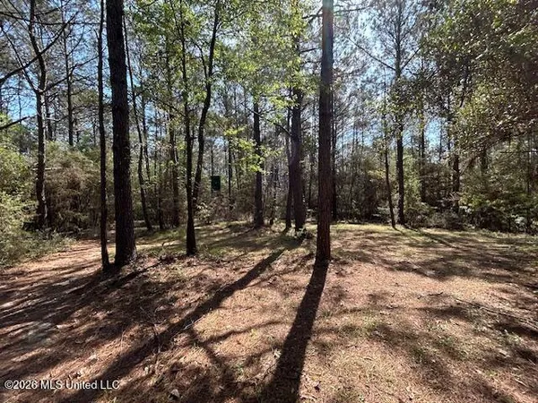 $149,500 | 115 Ryans Road, Tylertown, MS 39667