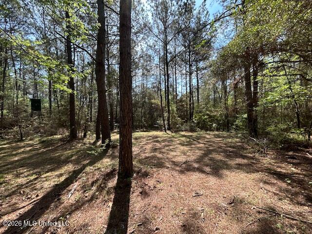 115 Ryans Road Tylertown, MS 39667 - Photo 65 of 65 IMG_3670