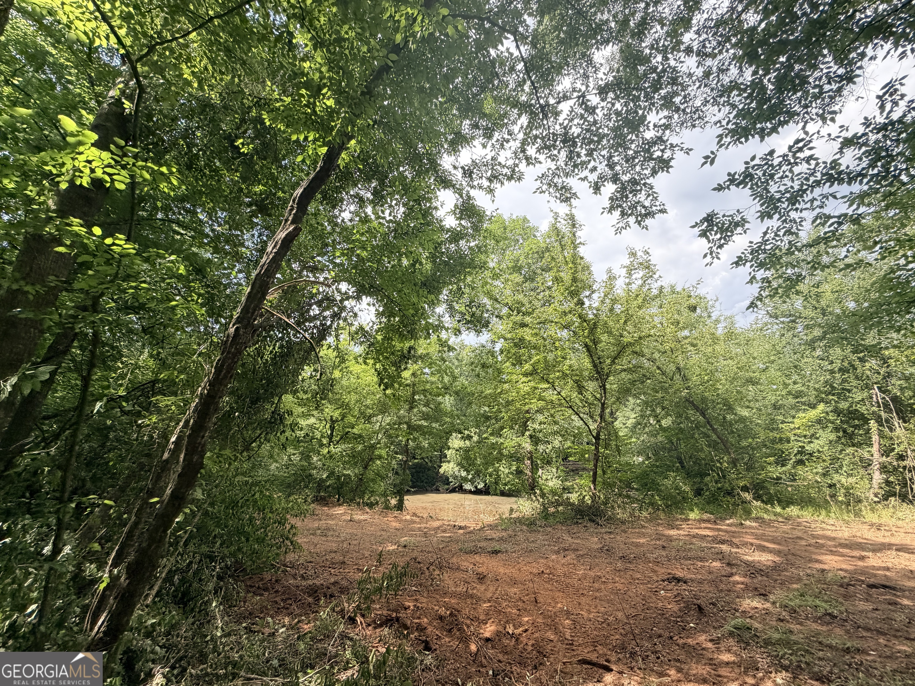 1590 James Adams Road Danielsville, GA 30633 - Photo 48 of 98