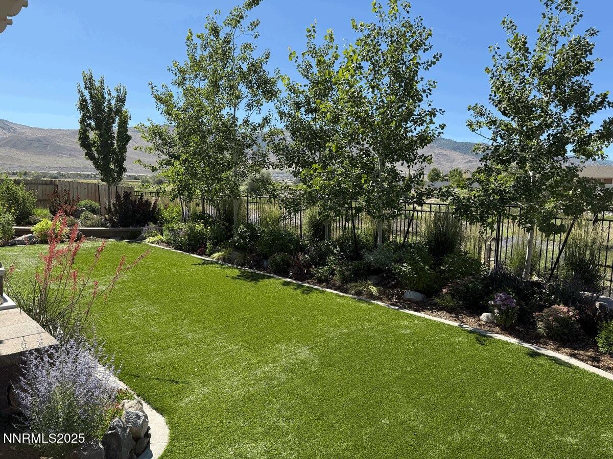 2330 Blushing Rock Drive Reno, NV 89521 - Photo 51 of 60 a view of a backyard
