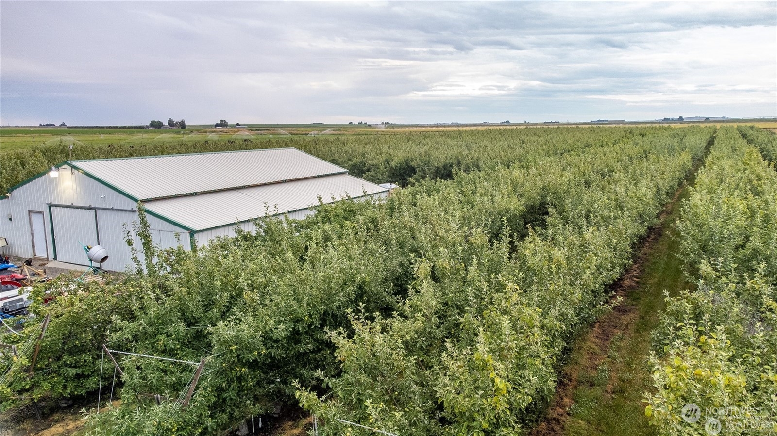 1659 West Gillis Road Othello, WA 99344 - Photo 9 of 36 an aerial view of a house with big yard and large trees