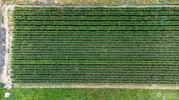 a view of a green field