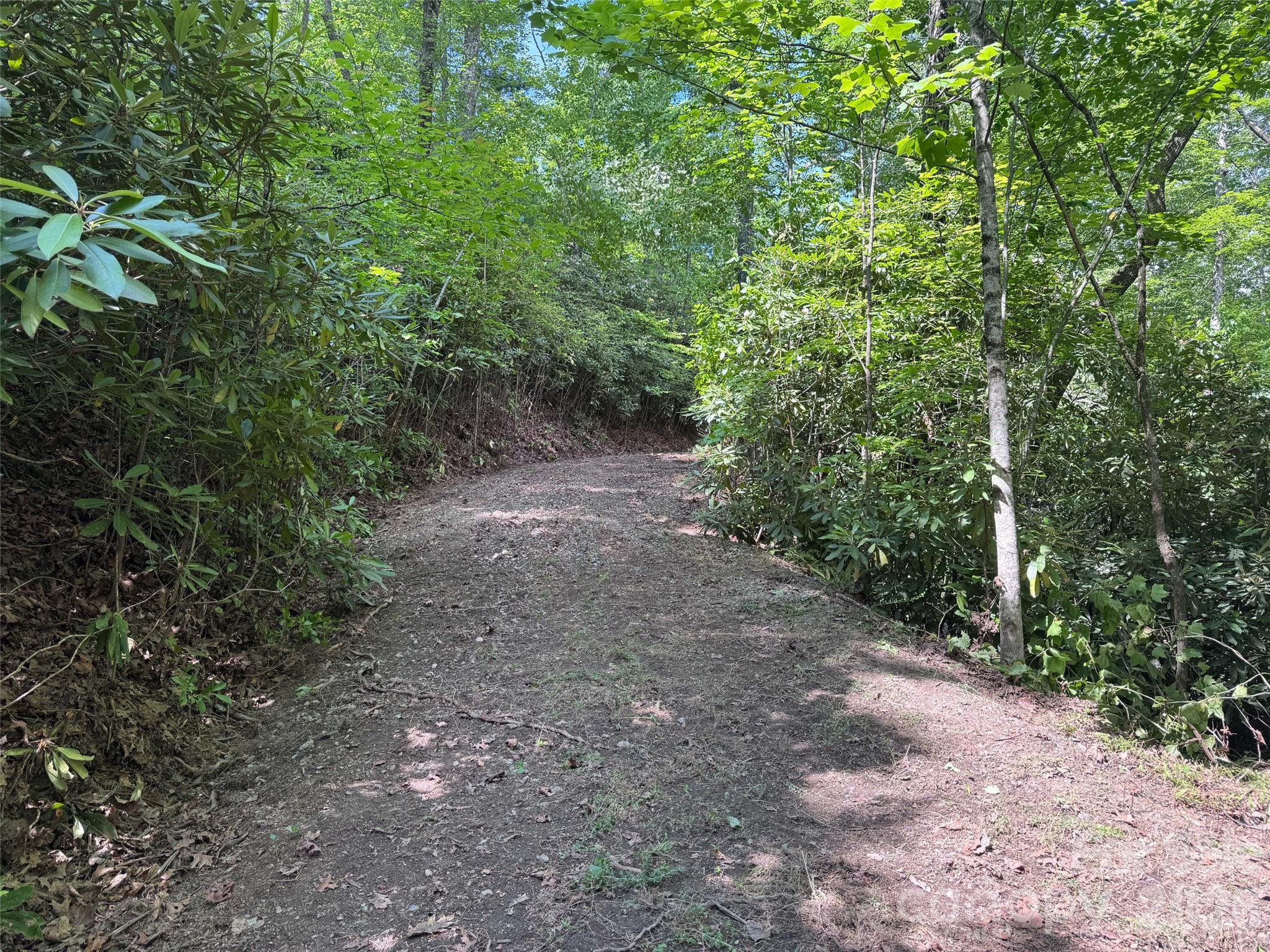 10 A Reserve Road Pisgah Forest, NC 28768 - Photo 31 of 33