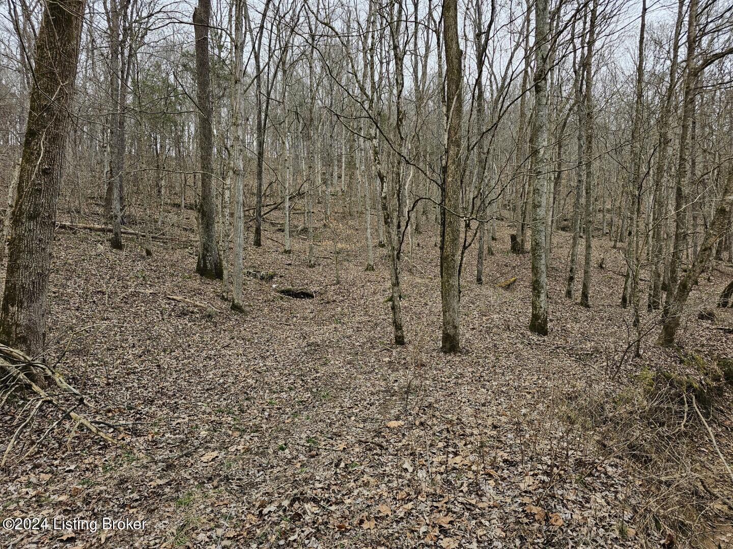 2 Lone Star Road Upton, KY 42784 - Photo 10 of 16 20240209_134507 (Large)