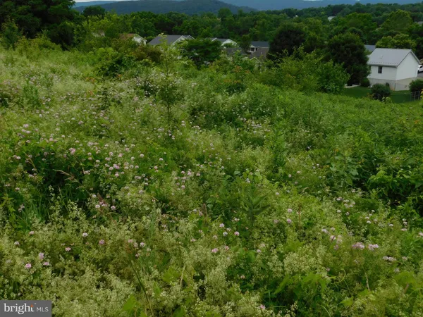 a view of a lush green field