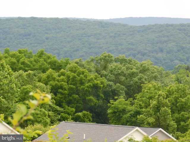 a view of a field with a large tree