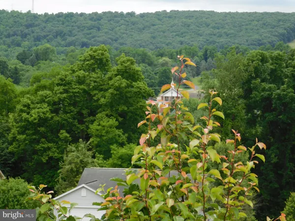 a view of a city with lush green forest