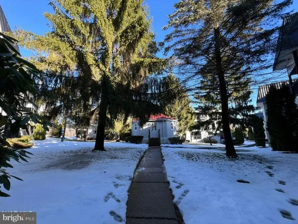 a park with trees and flowers