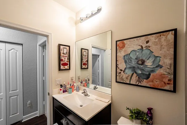 a bathroom with a sink and a mirror