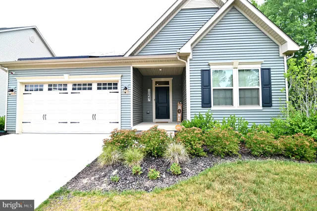 a view of a house with potted plants