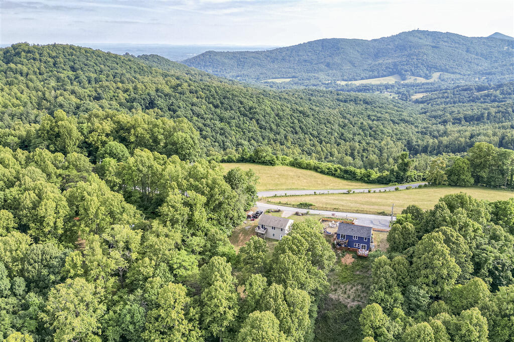 1039 Fosters Knob Road Blue Ridge, VA 24064 - Photo 37 of 45 a view of a lush green field with a tree in a field